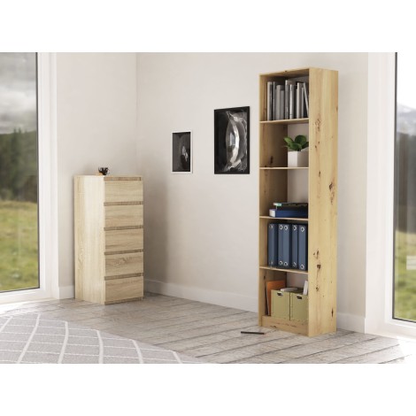 Topeshop R50 ARTISAN office bookcase