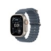 Apple 49mm Anchor Blue Ocean Band - Natural Titanium Finish