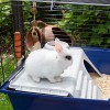 FERPLAST Rabbit 120 - Cage