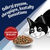 PURINA Felix Countryside Sensations - dry cat food - 1kg