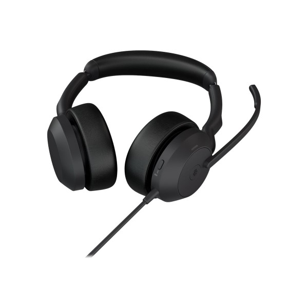 JABRA Evolve2 50 USB-C MS Stereo