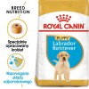 ROYAL CANIN SHN Breed Labrador Junior dry dog food - 12 kg