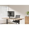 MONITOR ACC DESK MOUNT 10-32