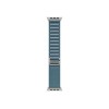 Apple 49mm Light Blue Alpine Loop - Large - Natural Titanium Finish