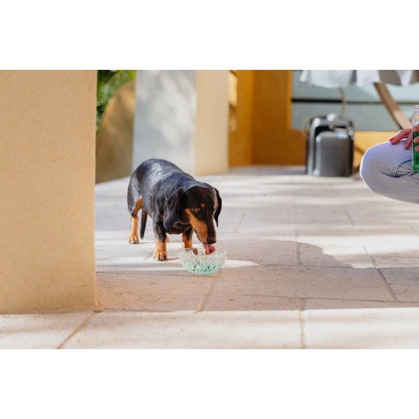 VIRBAC Vet Aquadent FR3SH - dental ...