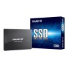 Gigabyte | GP-GSTFS31256GTND | 256 GB | Solid-state drive interface SATA | Read speed 520 MB/s | Write speed 500 MB/s