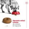 Royal Canin Size Maxi Ageing 8+ Adult 15.3 kg