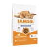 IAMS Advanced Nutrition Light/Sterilised - dry cat food - 10 kg