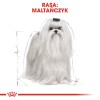 Royal Canin Maltese Adult Corn, Poultry 0.5 kg