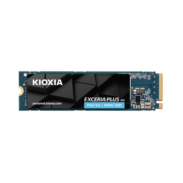 Kioxia LVD10Z002TG8 internal solid state drive ...