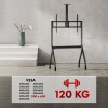 Maclean TV stand / cart, camera shelf, on casters, 55-100", max load 120kg/10kg shelf, max. VESA 900x600, black, MC-114 B