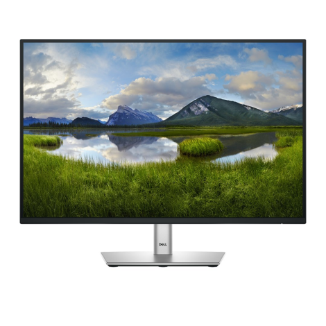 LCD Monitor|DELL|P2425|24