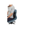 KENSINGTON K60412WW Back Support