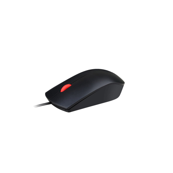 Lenovo 4Y50R20863 mouse Office Ambidextrous USB ...