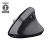 MOUSE USB OPTICAL WRL BAYO+/ERGONOMIC BLK 25146 TRUST