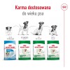 ROYAL CANIN Mini Adult +8 - dry dog food - 800 g