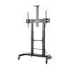 GEMBIRD Height adjustable TV floor stand
