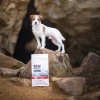 RAW PALEO Ultra Mini Adult Beef - dry dog ​​food - 750 g