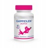 GAMMOLEN Active Suplement dla psów aktywnych 90kaps