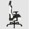 Onex | Premium Gaming Chair | FX8 Formula X Module Injected | Black/Blue/White