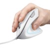 Trust Verto mouse Office Right-hand USB Type-A Optical 1600 DPI