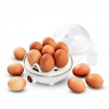 Esperanza EKE001 egg cooker 7 egg(s) 350 W White