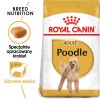 Royal Canin Poodle Adult 1.5 kg