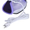 Morphy Richards 300301 iron Steam iron Ceramic soleplate 2400 W Violet, White