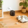 Cecotec Pumba 2500 Refresh Smart Pet Fountain