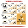 Royal Canin FBN Ragdoll Adult dry cat food 2 kg