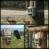 Reolink Camovue Talon S130 4G LTE Trail Camera