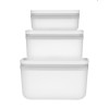 Set of 3 Plastic Containers Zwilling Fresh & Save  36804-003-0