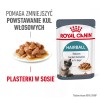 ROYAL CANIN Hairball Care Wet cat food Chunks in sauce 12x85 g