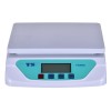 ELECTRONIC SCALE TS-500 30KG