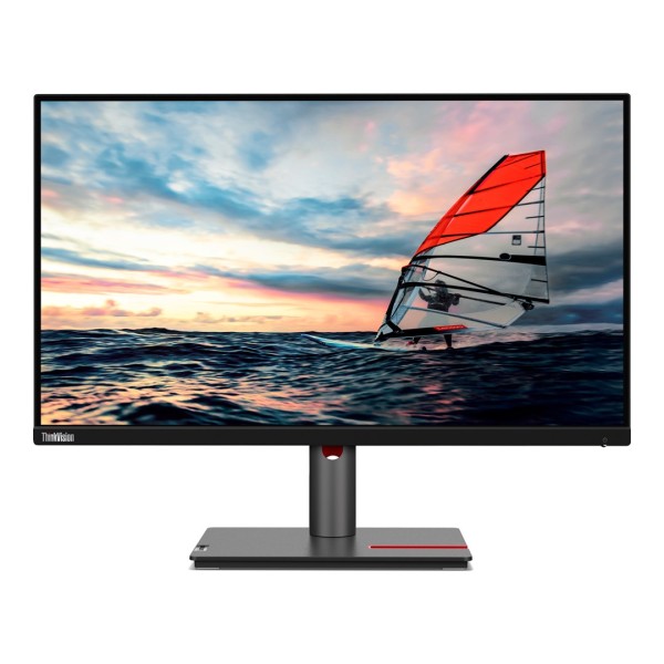 Lenovo ThinkVision P25i-30 LED display 62.2 ...