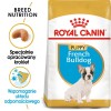 ROYAL CANIN French Bulldog Puppy - dry dog food - 3 kg