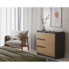 Topeshop 1D3S ANT/ART KPL chest of drawers