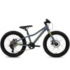 Rower MTB Batch Alu 20” chameleo (B374455W)