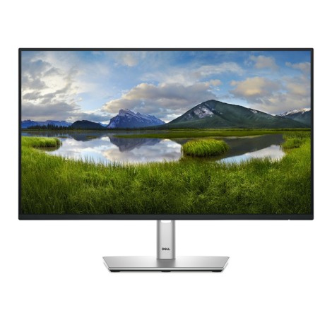 LCD Monitor|DELL|P2425HE|23.8