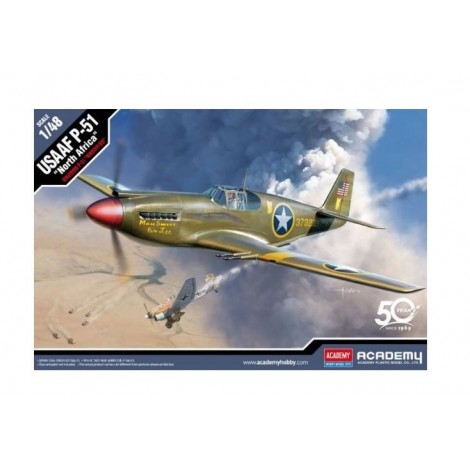 Plastikowy model USAAF P-51 North Africa