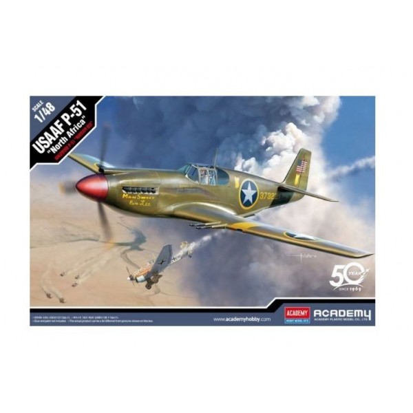 Plastikowy model USAAF P-51 North Africa