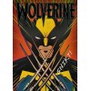 Puzzle 1000 elementów Premium Plus Quality Marvel Wolverine