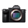 Sony Alpha 7 Mark III BODY | Sony