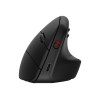 HP 920 Ergo Vertical Wireless Mouse