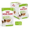 ROYAL CANIN Adult xs-small - wet dog food - 12 x 85g