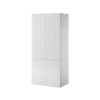 Wardrobe PAFOS 2D 90x55.5x198.5 white matt