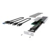 Raidsonic | Icy box External Type-C™ enclosure for M.2 NVMe SSD | IB-1817Ma-C31