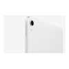 Apple iPad 11