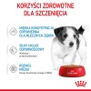 ROYAL CANIN SHN Mini Puppy in sauce - wet puppy food - 12X85g