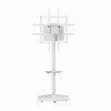 Gembird TVS-86TR-01-W TV floor stand, 37" - 86", white